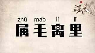 属毛离里