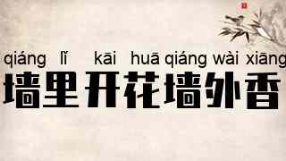 墙里开花墙外香
