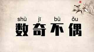 数奇不偶