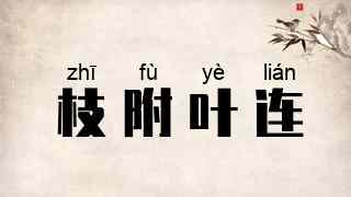 枝附叶连