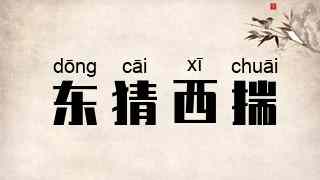 东猜西揣
