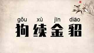 狗续金貂