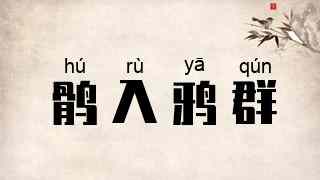 鹘入鸦群