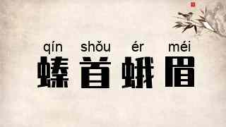 螓首蛾眉