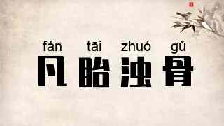 凡胎浊骨