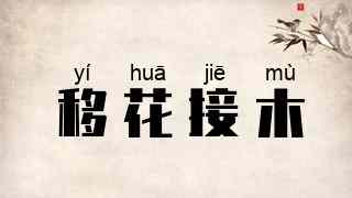 移花接木