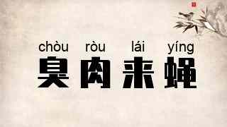 臭肉来蝇