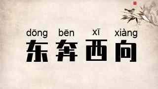 东奔西向
