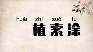 擿植索涂