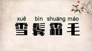 雪鬓霜毛