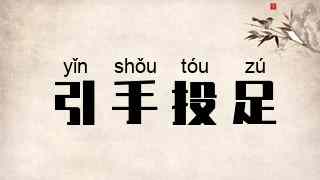 引手投足