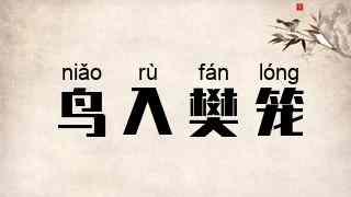 鸟入樊笼