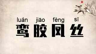 鸾胶凤丝