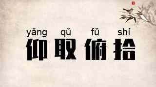 仰取俯拾