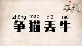 争猫丢牛