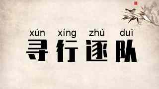 寻行逐队