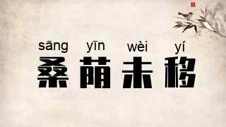 桑荫未移