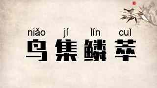 鸟集鳞萃