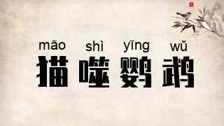 猫噬鹦鹉