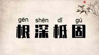 根深柢固