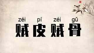 贼皮贼骨