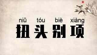 扭头别项