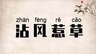 沾风惹草