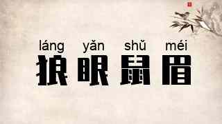 狼眼鼠眉
