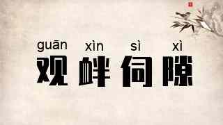 观衅伺隙