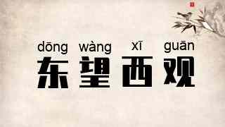 东望西观