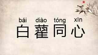 白藋同心