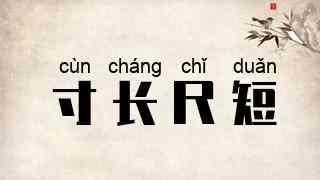 寸长尺短