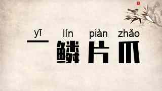 一鳞片爪