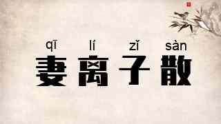 妻离子散