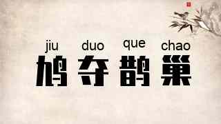 鸠夺鹊巢