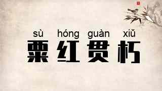 粟红贯朽