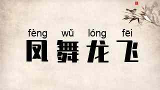 凤舞龙飞