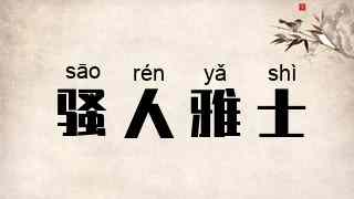 骚人雅士