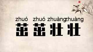 茁茁壮壮