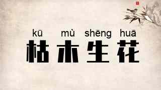 枯木生花