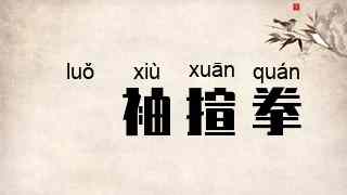 攞袖揎拳