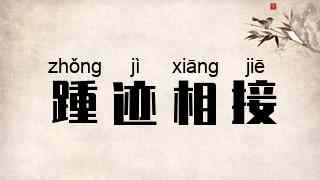 踵迹相接