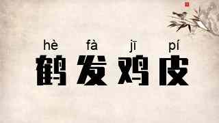 鹤发鸡皮
