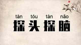 探头探脑