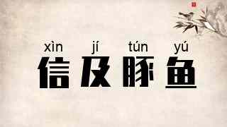 信及豚鱼
