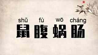 鼠腹蜗肠