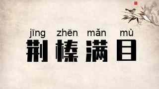 荆榛满目