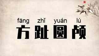 方趾圆颅