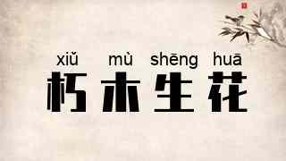 朽木生花