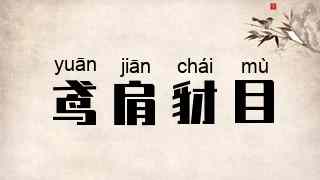 鸢肩豺目